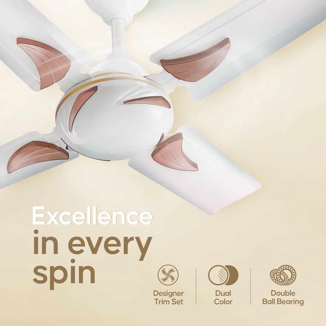 Longway Creta P1 600 mm/24 inch Ultra High Speed 4 Blade Anti-Dust Decorative Star Rated Ceiling Fan (Pack of 1) - Image 4